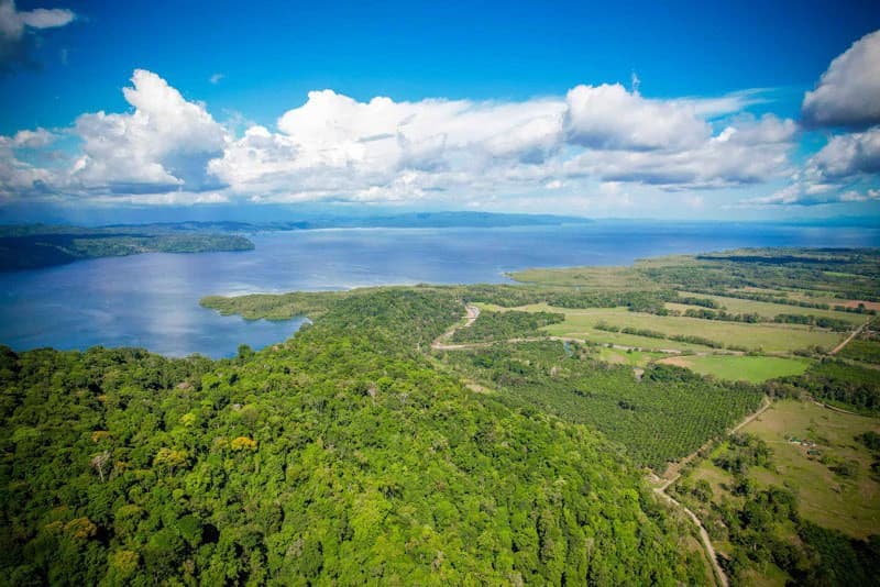 Ocean View & Primary forest 55-ha Rincon de Osa - photo 35