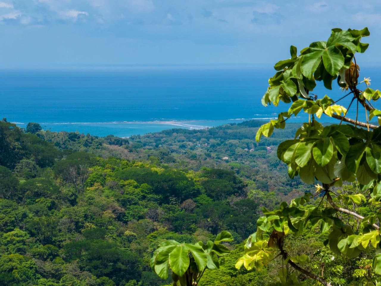101 Acre Waterfall Riverfront and Ocean View Farm in Playa Uvita - photo 11