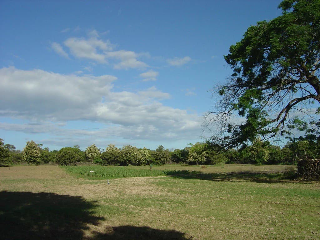Strategic Commercial Property on the Inter-American Highway – Liberia - photo 15