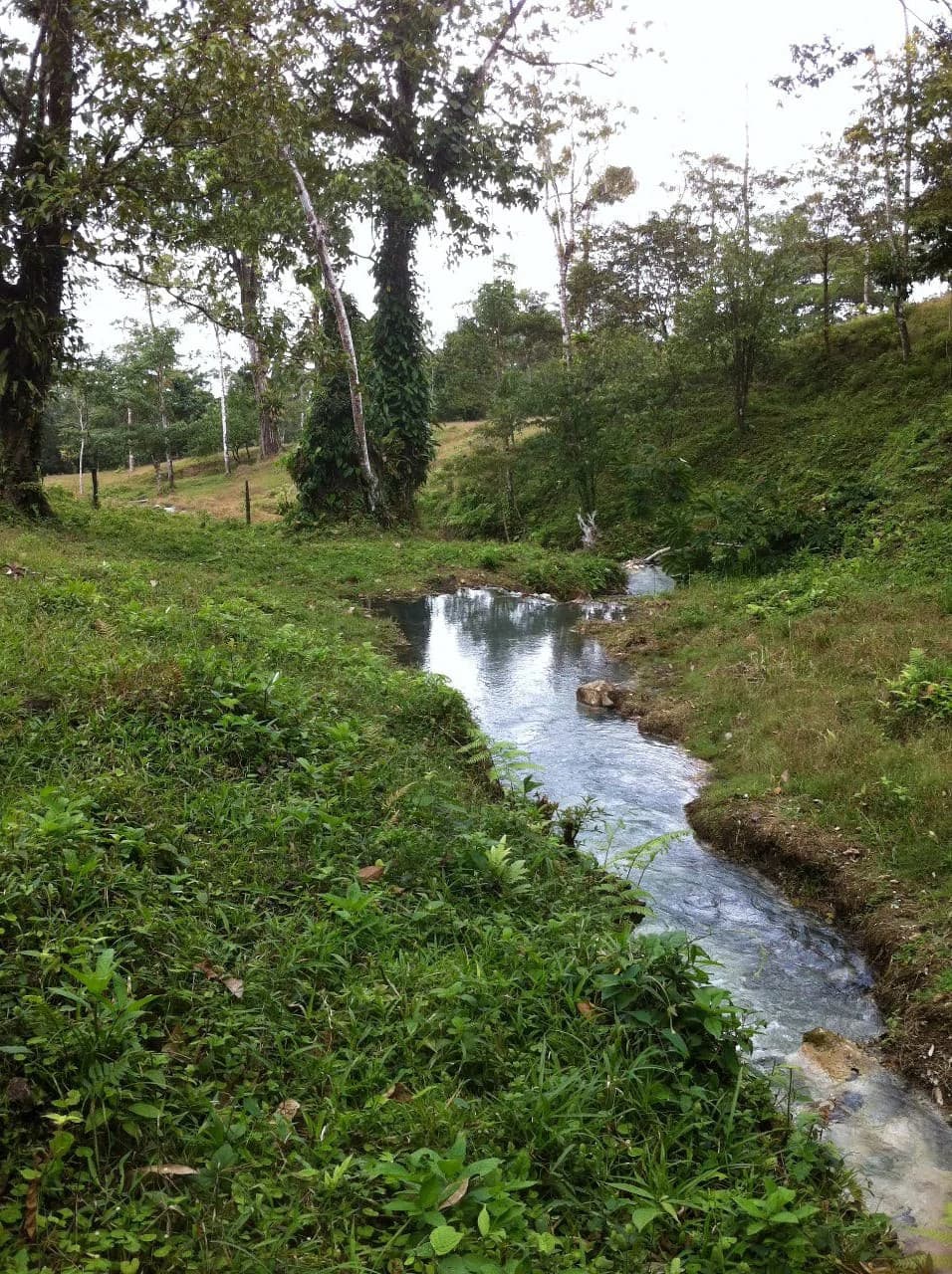Hot and Cold Thermal Springs for Sale – Beautiful Property in Dos Ríos, Alajuela with Excellent Commercial Potential - photo 84