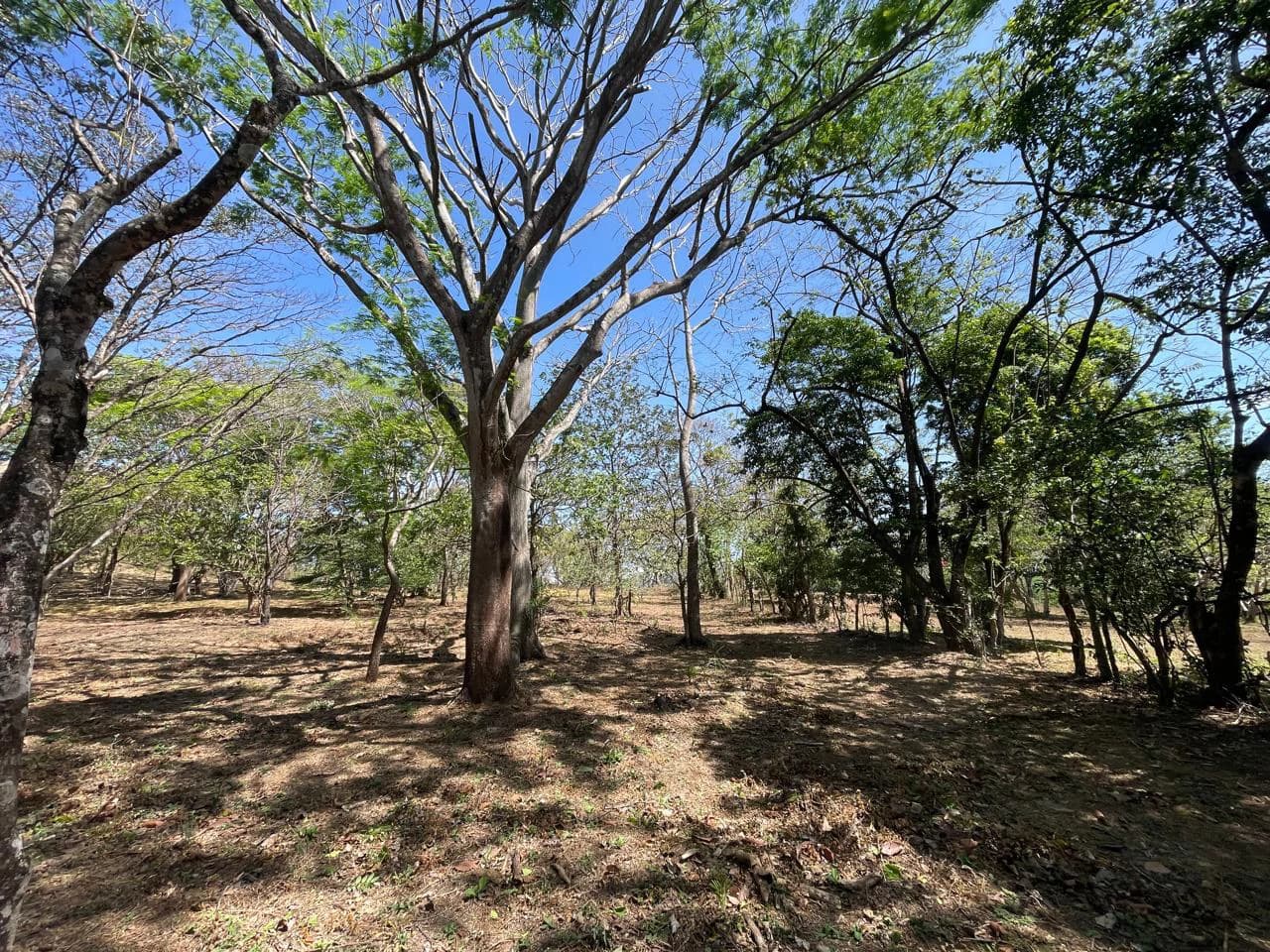 Ocean view property for sale Rodeo Ciudad Colon San Jose Costa Rica - photo 6