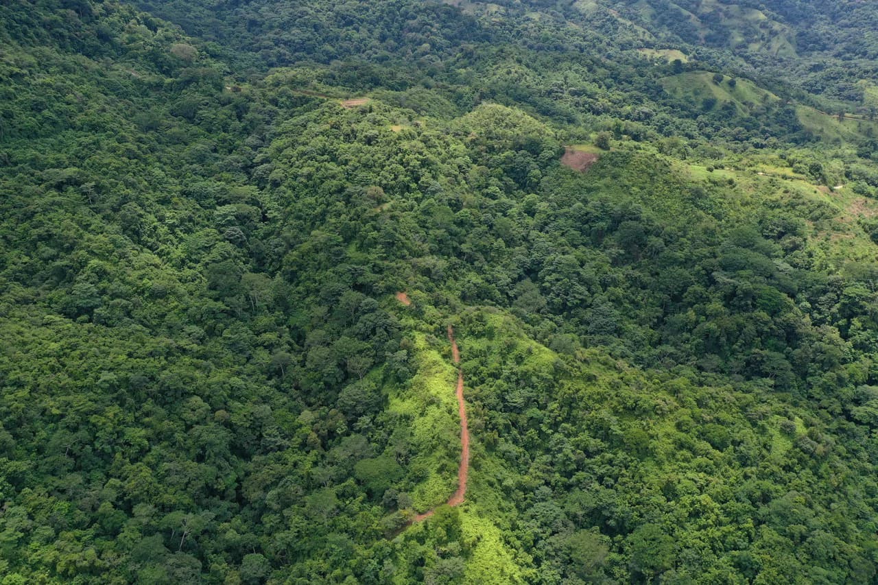 137 Acre Ocean View Farm with Riverfront in Southern Costa Rica - photo 15