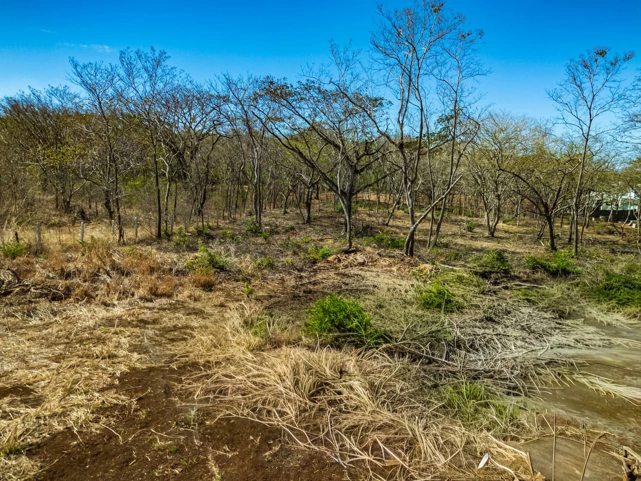 1Ha Avellanas: Boutique Development Opportunity Steps from the Sand - photo 3