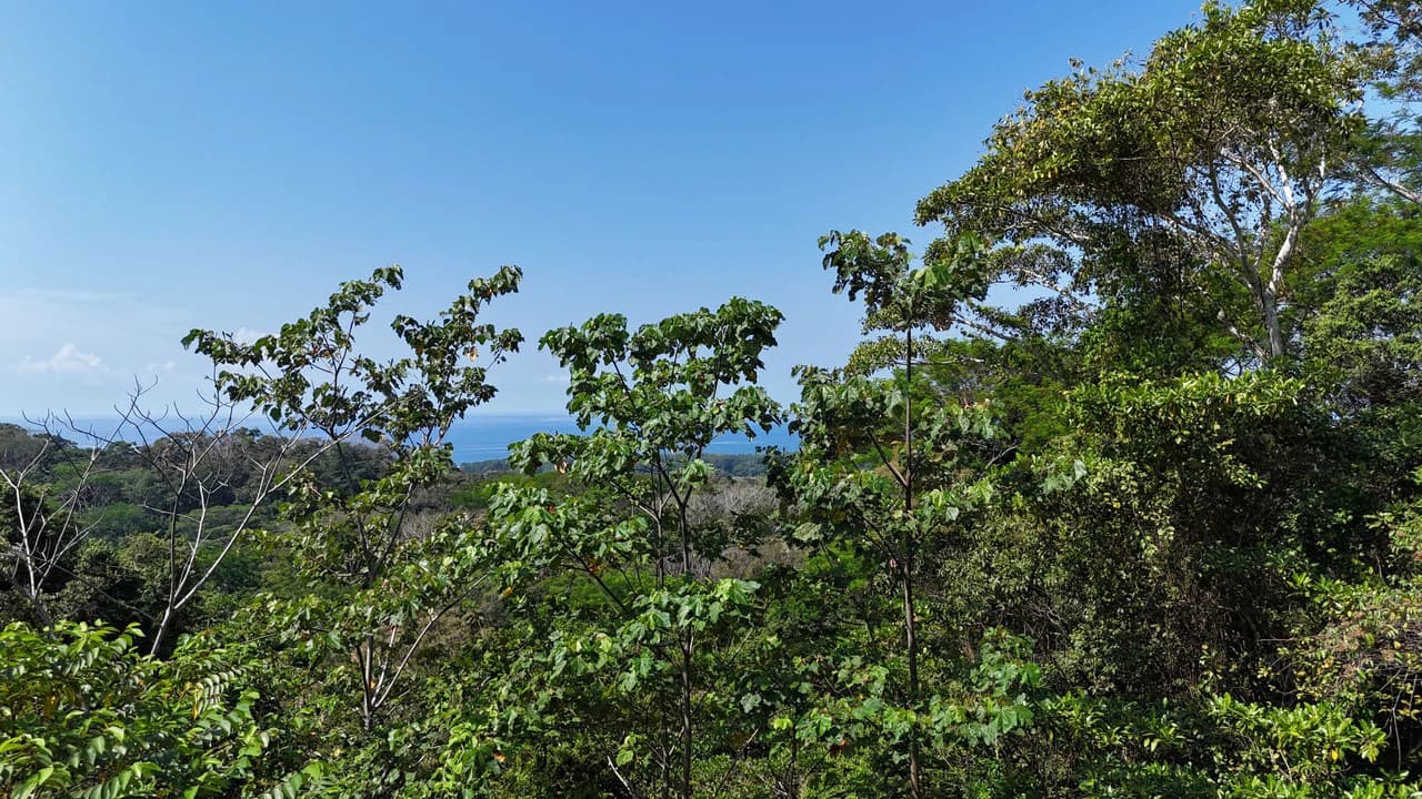 Exceptional Development Opportunity 71 acre Riverfront & Ocean View in Hatillo - photo 9