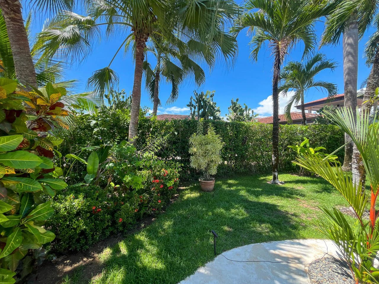 Casa Tortuga: The turtles are hatching! Playa Bejuco, walk to the Beach Home for Sale Costa Rica - photo 17