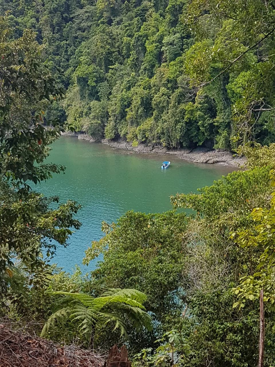 Nature Lover's Marina Resort Investment: Costa Rica South-Pacific Gulf Coast Marina, Rainforest Resort - photo 6