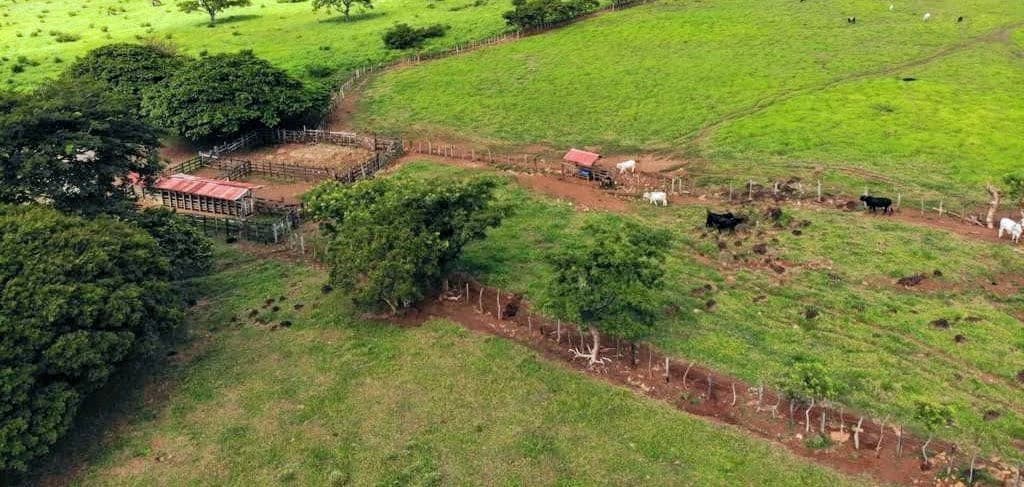 Finca Los Angeles: JUST REDUCED ! 281 Acre Farm with River, Lake, and Sunset views - photo 10