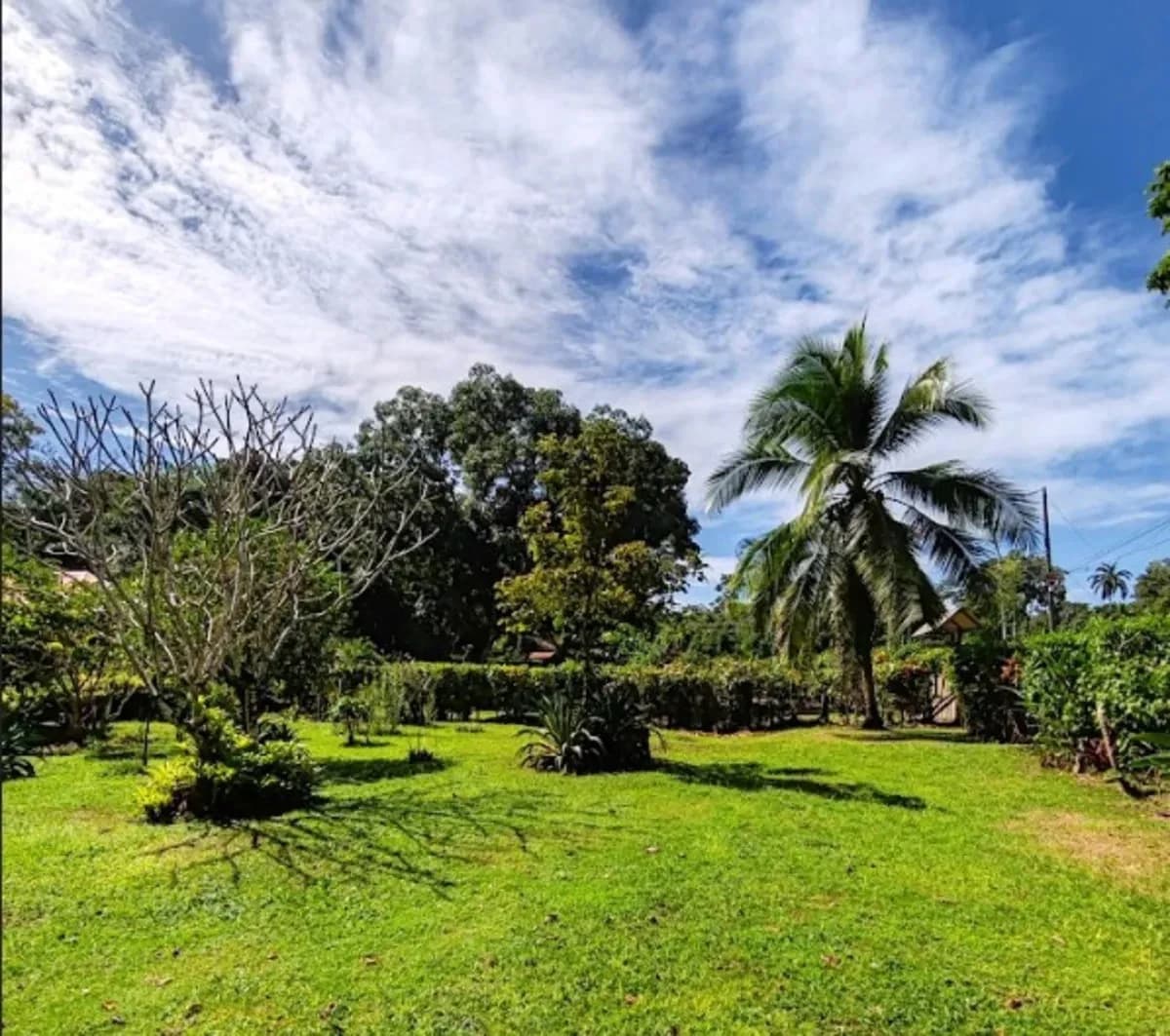 ID 1014: 641 sqm Flat Titled Lot for Sale in Cahuita - photo 4