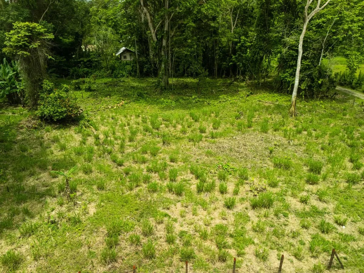 ID 1134: 3960m² Flat Development Lot Near Cahuita, Costa Rica - photo 7