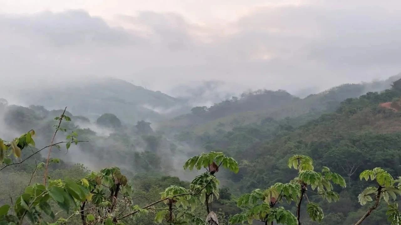 Lot 2: Ocean View Lots for Sale in Sunset Hills, Paquera, Costa Rica - photo 17
