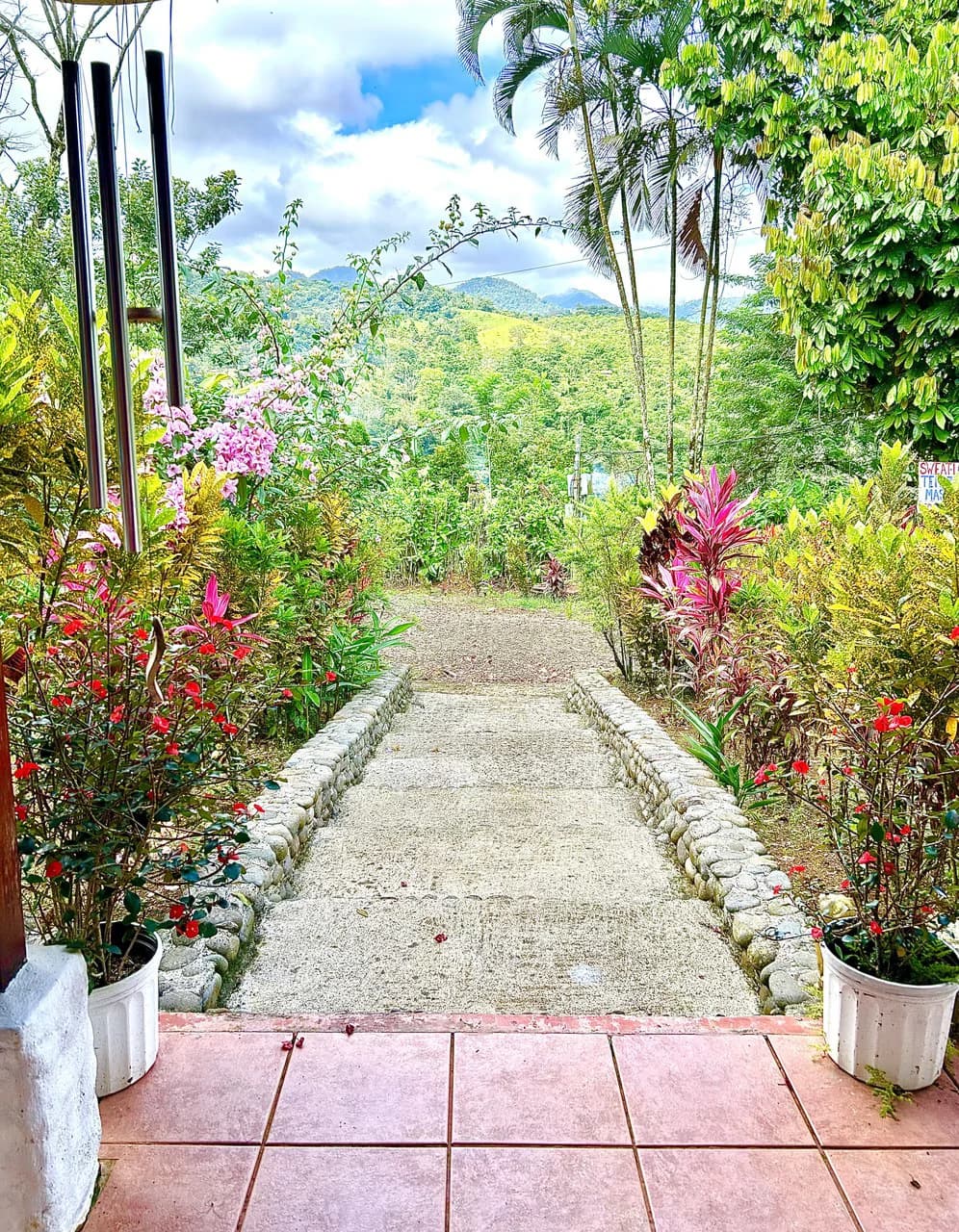 Costa Rica Ecolodge Retreat: TURNKEY COSTA RICA ECOLODGE & WELLNESS RETREAT | 28 ACRES + 5 GUEST CABINS | 45 MINUTES FROM LA FORTUNA - photo 8