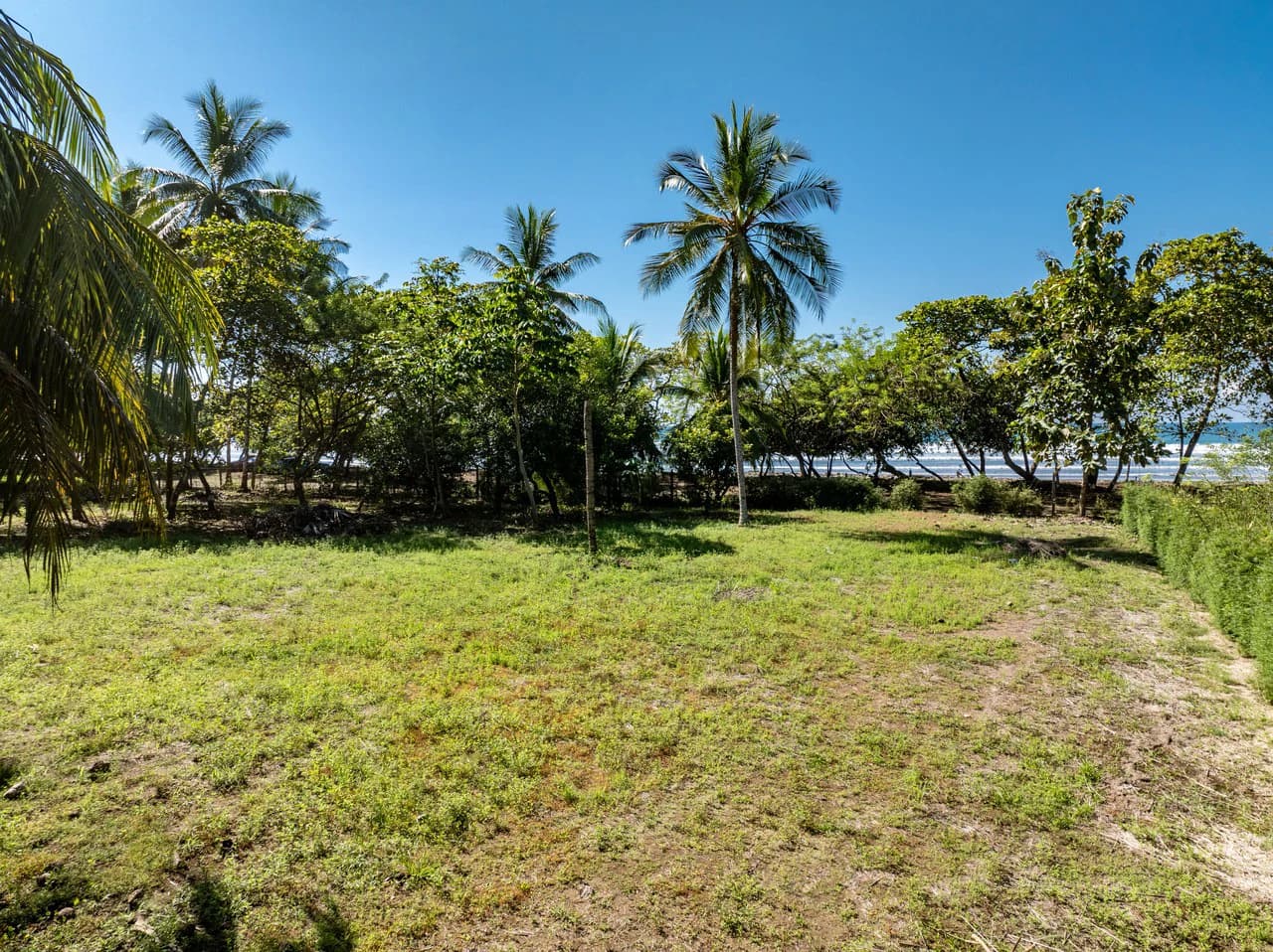 Exclusive Beachfront Opportunity south of Manuel Antonio Costa Rica - photo 11