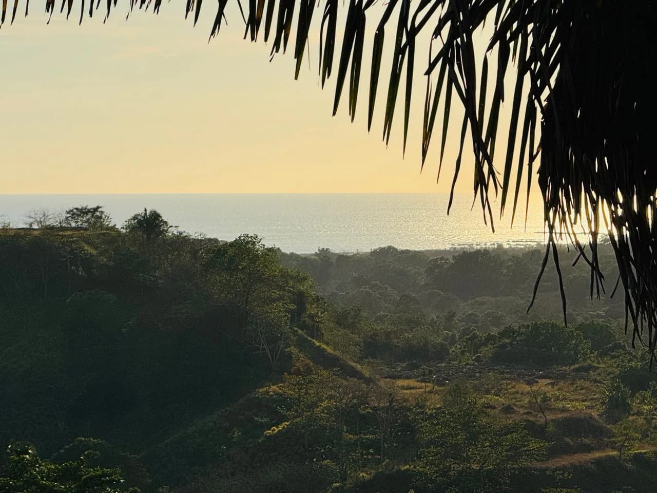Finca Herradura: 82-Hectare Ocean View Development Land Near Los Sueños, Jacó - photo 14