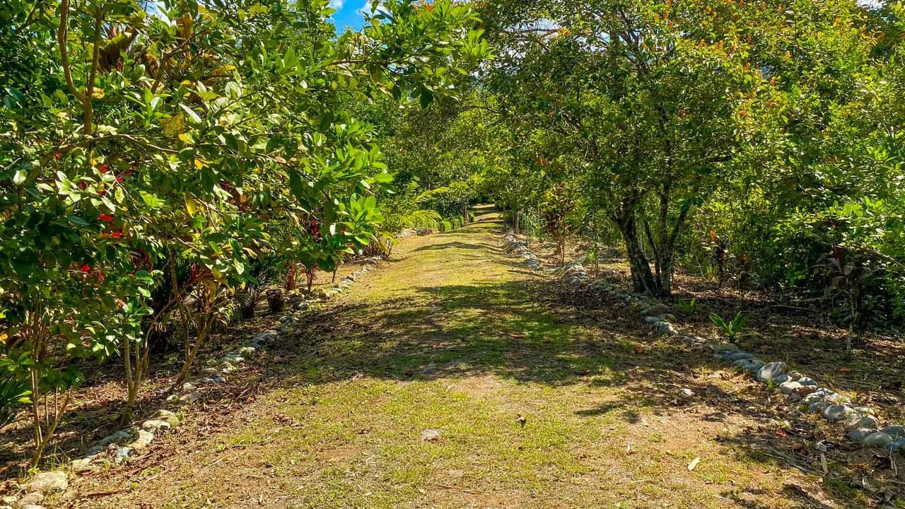 32 Acre Self Sustainable Farm with House Close Ojochal - photo 51