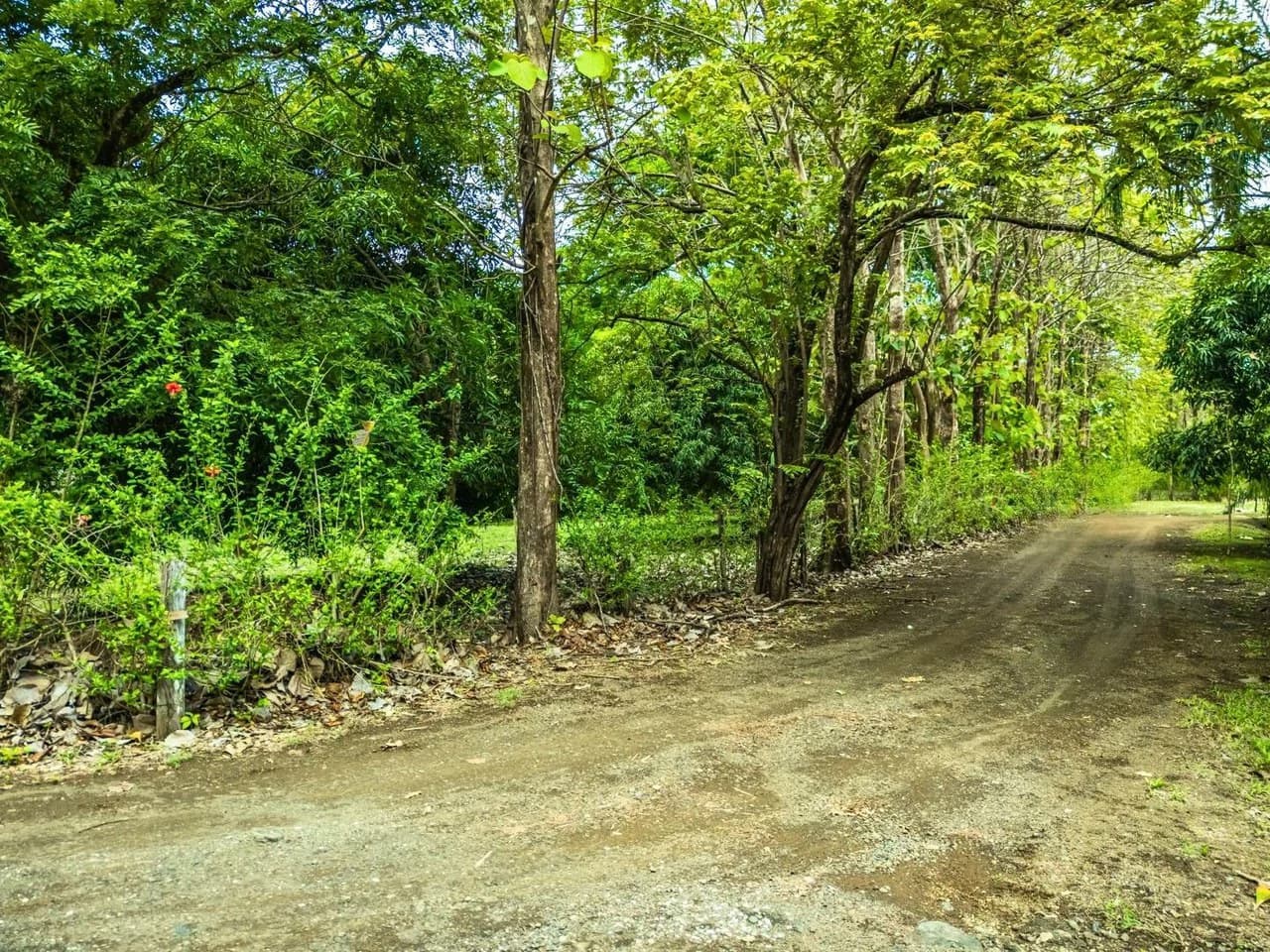 Marbella Dream Lot: 2.4 Acres of Natural Beauty Near the Beach - photo 9
