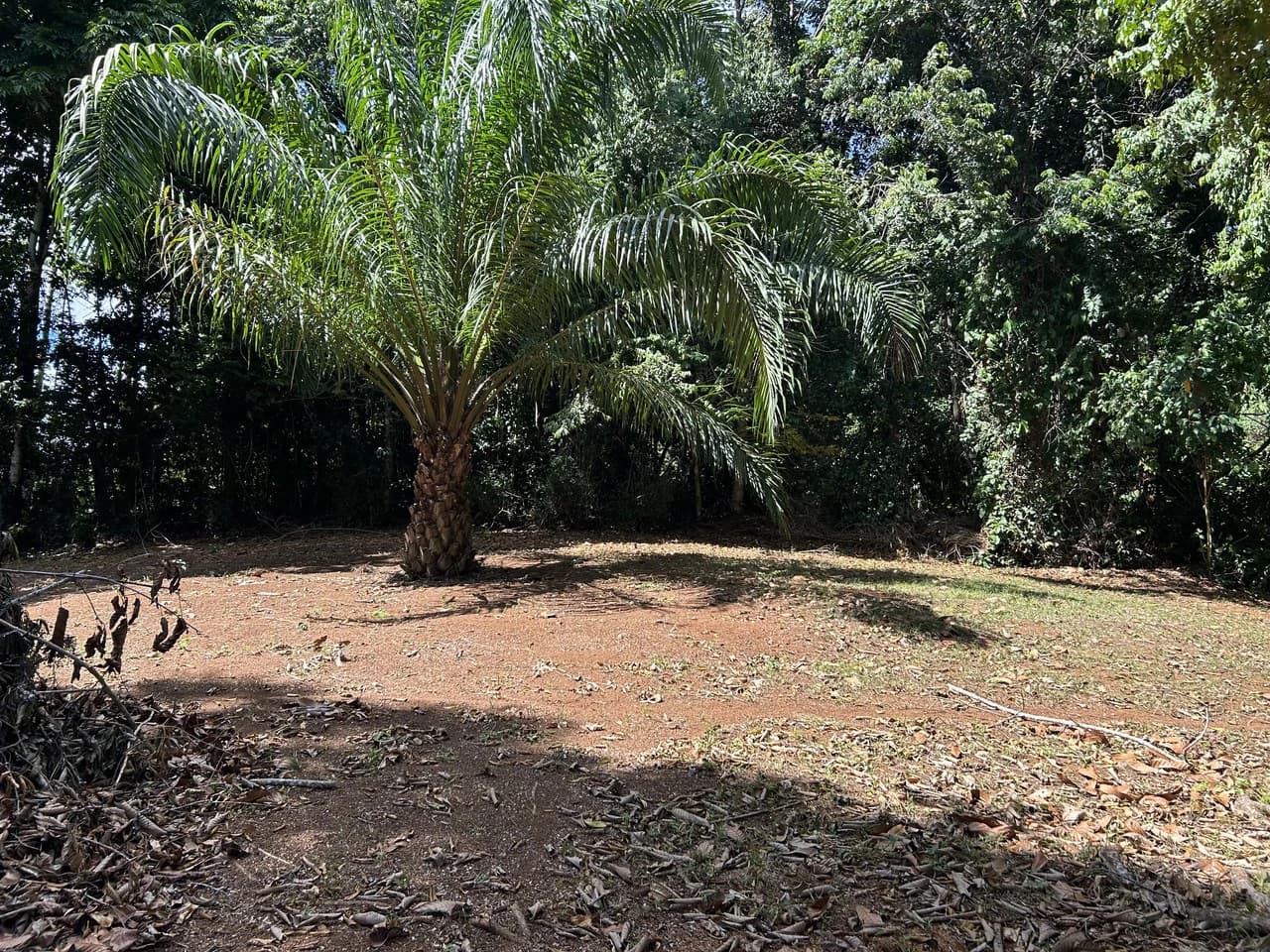 Cabo Matapalo: 3.8 Acre Ocean View Lot In Peninsula De Osa, Golfo Dulce - photo 12
