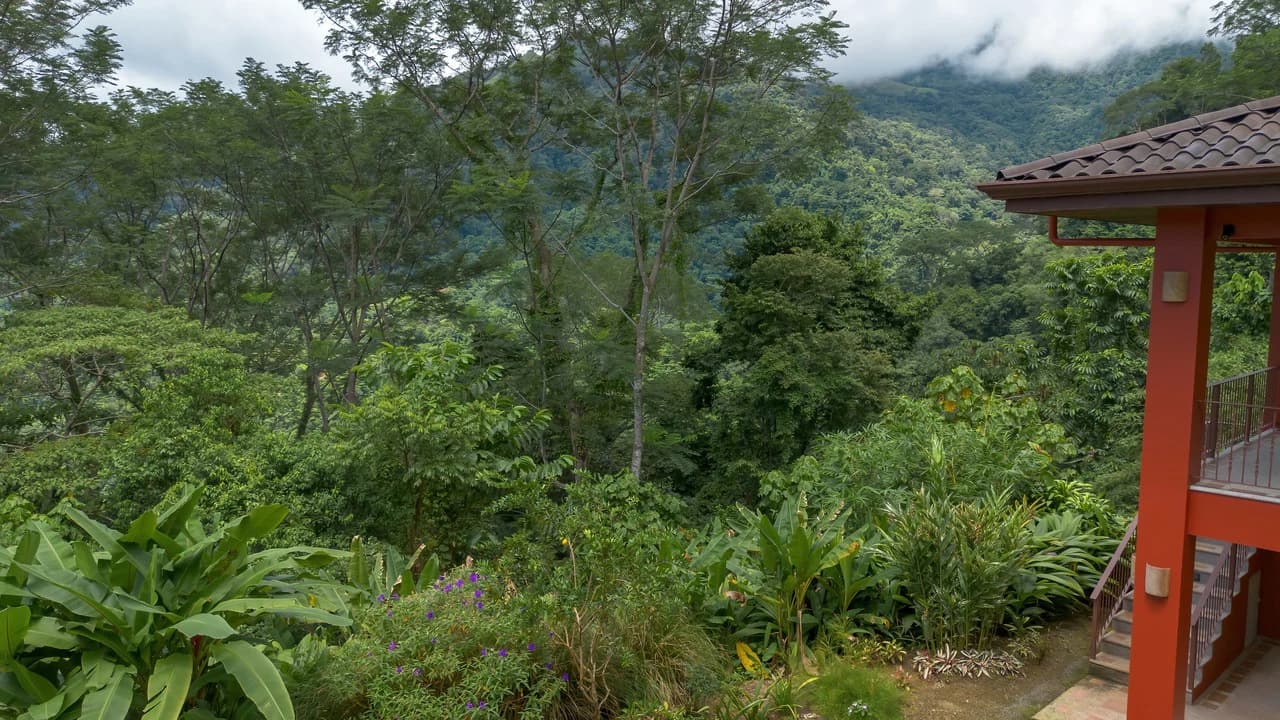 Build-Ready Ocean View Land with Guest House & Fruit Orchard | Tres Rios, Costa Rica - photo 10