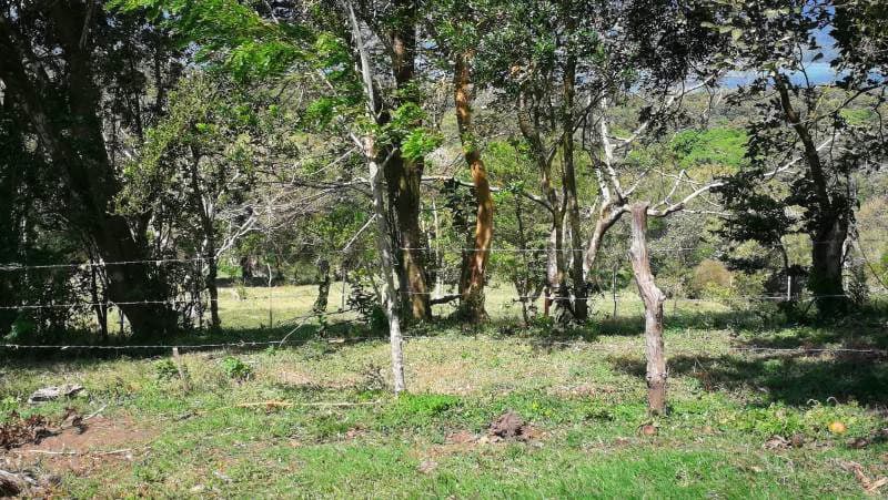 WATERVIEW PARADISE - Lake View Building Lot - photo 5