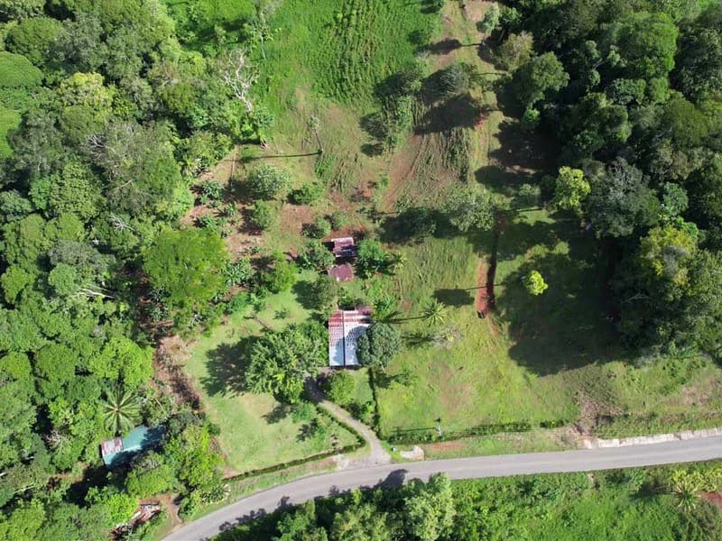 69.16 Acres Property | Mountain & Top Ocean View with Small Home - photo 5