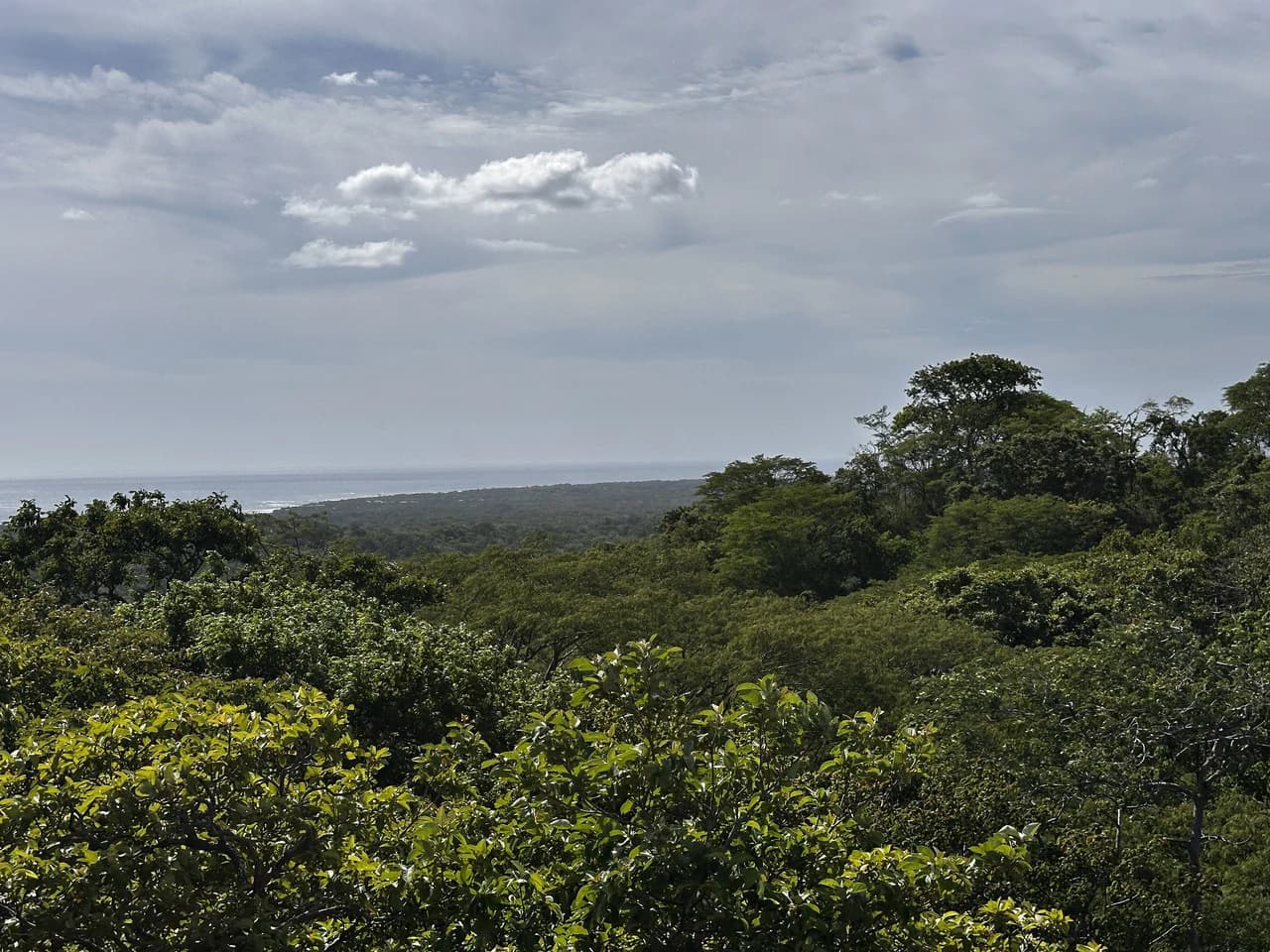 Ocean View Lot Negra Beach: Ocean View Hilltop Lot In Negra Beach, Finca Los Pargos - photo 1