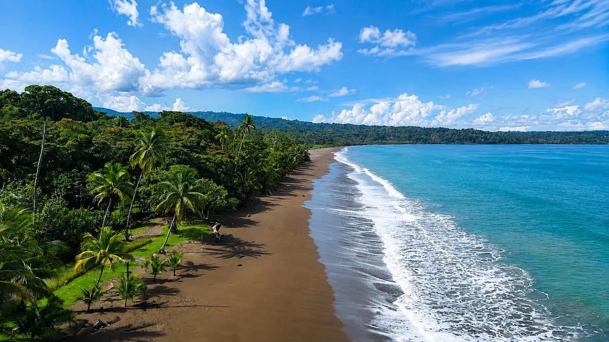 Turnkey Two-Home Property & Boutique B&B in Drake Bay, Osa Peninsula - photo 44