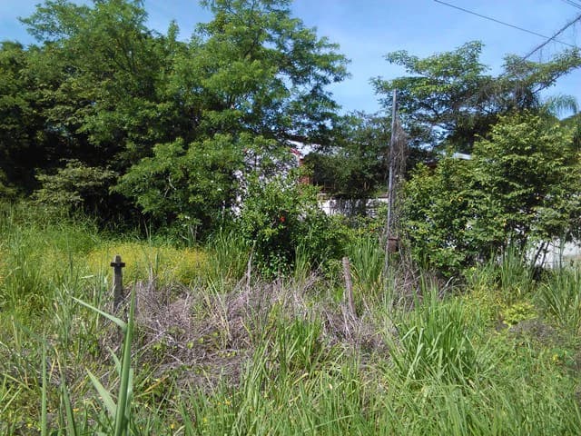 Discovery Park. Property with excellent location - photo 3