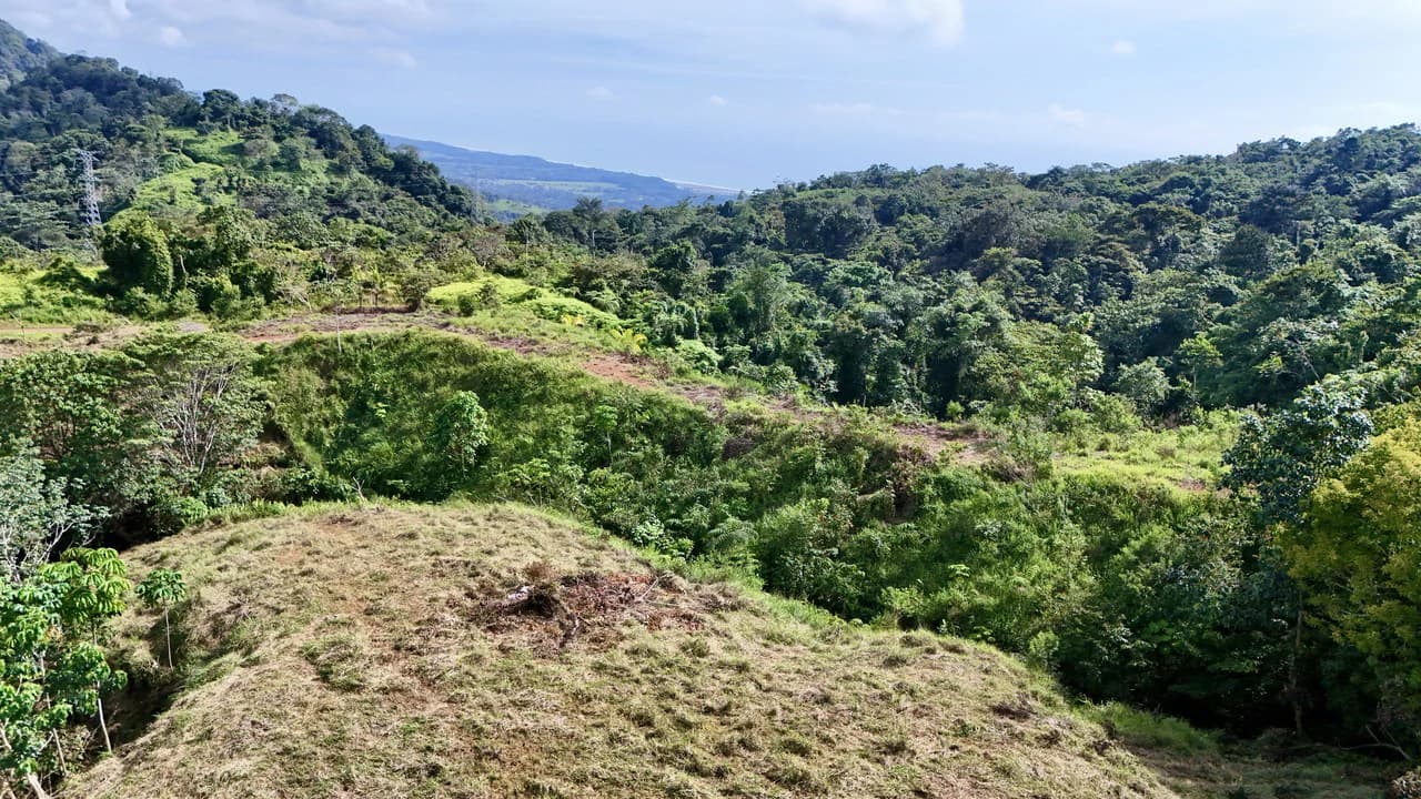 Off-Grid Ocean View Lot | 1.7 Acres in Las Nubes Matapalo Hills - photo 8