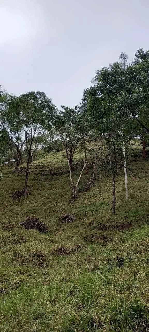 $2,200,000USD hectares: Ocean View Development Land for Sale in Tambor Costa Rica – 58 Hectares on the Nicoya Peninsula - photo 7