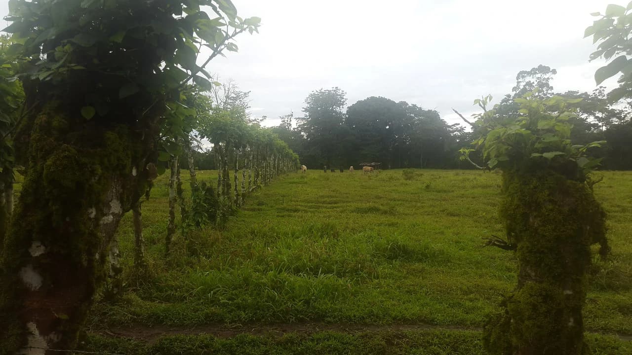 Countryside Development Parcel For Sale in Cariari - photo 14
