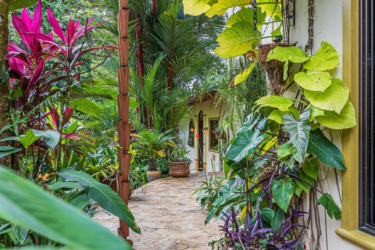 SKYFALL, The Estate, Exclusively Offered, Dominical Coastline Views: Mountain House For Sale in Escaleras - photo 57