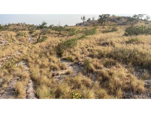 Zoning for homes, apartments, and warehouses in the mountains of Liberia, Beautiful 9.7 ha land with building permits - photo 6