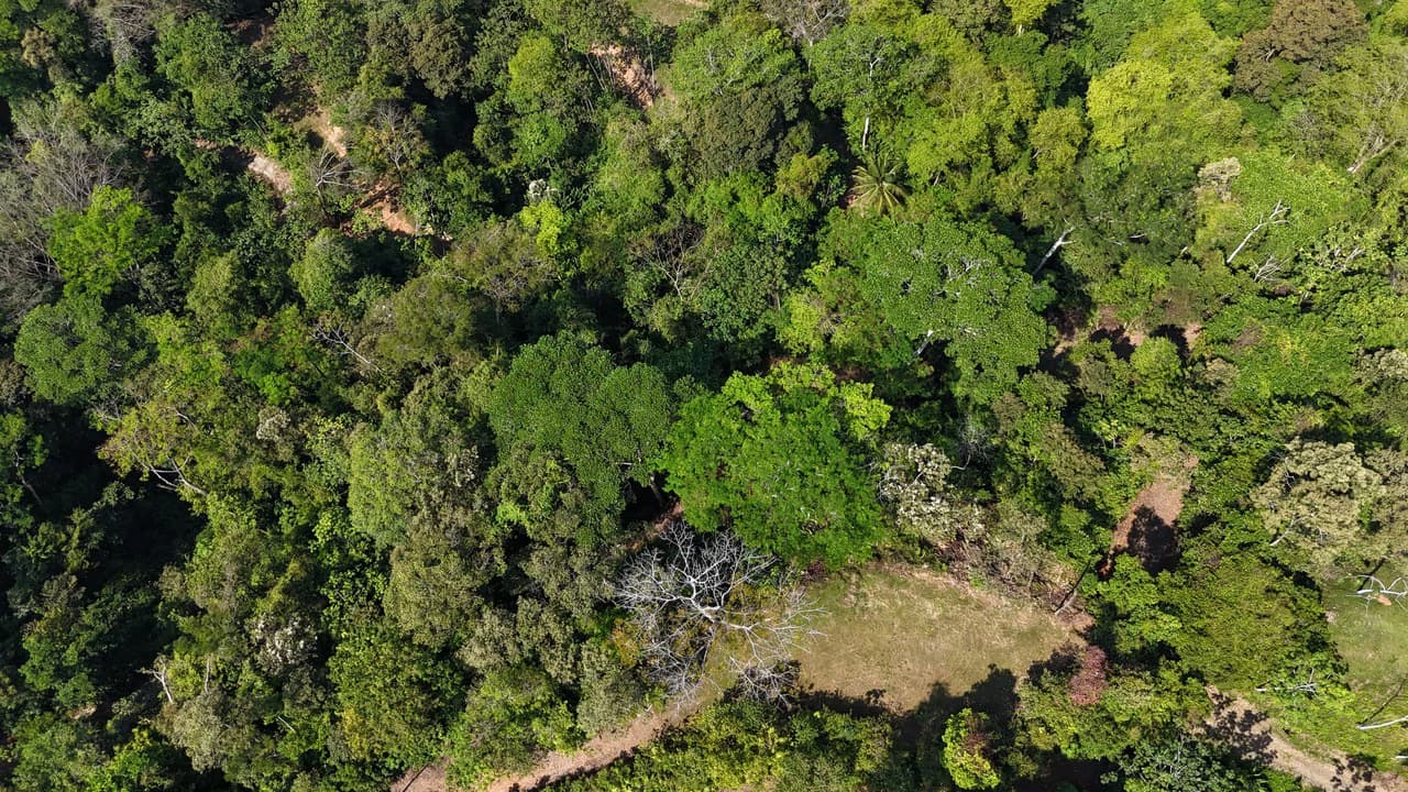 Exceptional Development Opportunity 71 acre Riverfront & Ocean View in Hatillo - photo 4