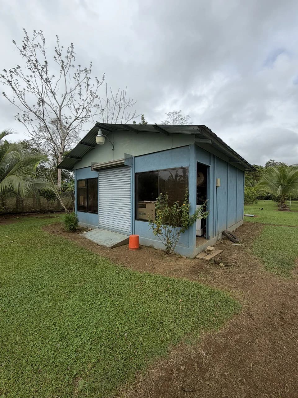 Country house with fruit trees for sales Upala Costa Rica - photo 14