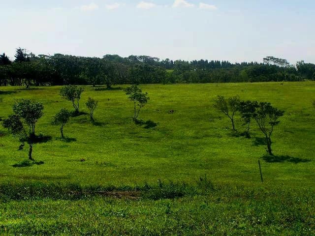 Hacienda Poseidon: 33 acre property overlooking Lake and Volcano Arenal - photo 8