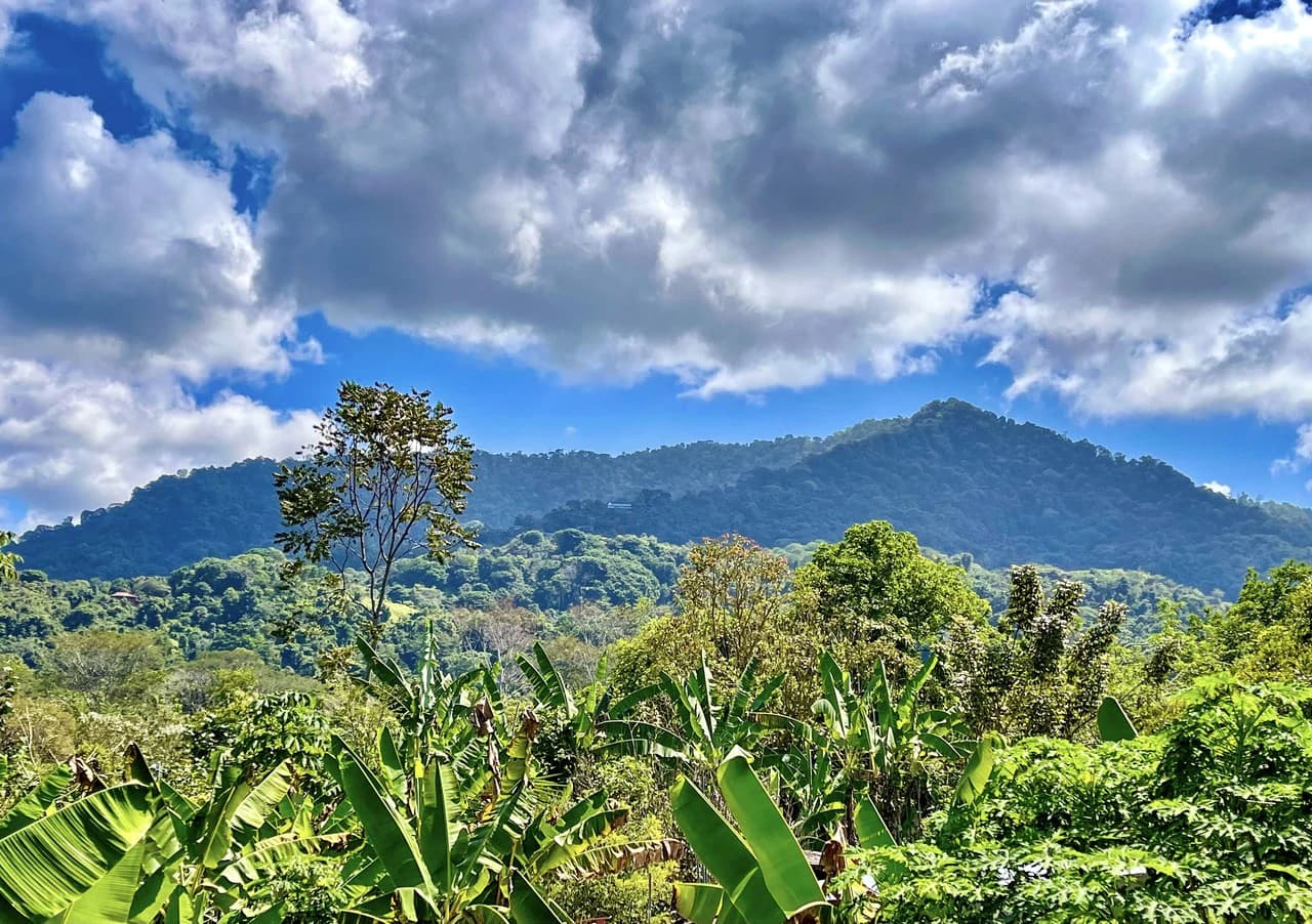 .075 ACRES – 2 Bedroom New Construction Home, Walk to the River, 5min to Playa Matapalo, 15min to Dominical!!!! - photo 4