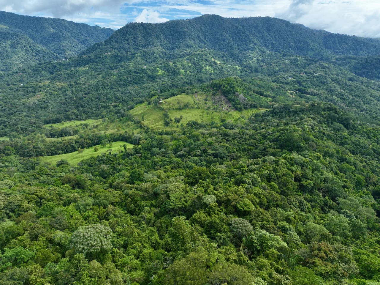 TROPICAL MASTERPIECE – 61.78 ACRES OF OCEANVIEW BLISS WITH WATERFALL: Mountain Development Parcel For Sale in Tres Rios - photo 23