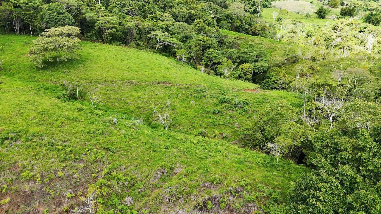 Mountain Agricultural Land For Sale in San Isidro del General - photo 6