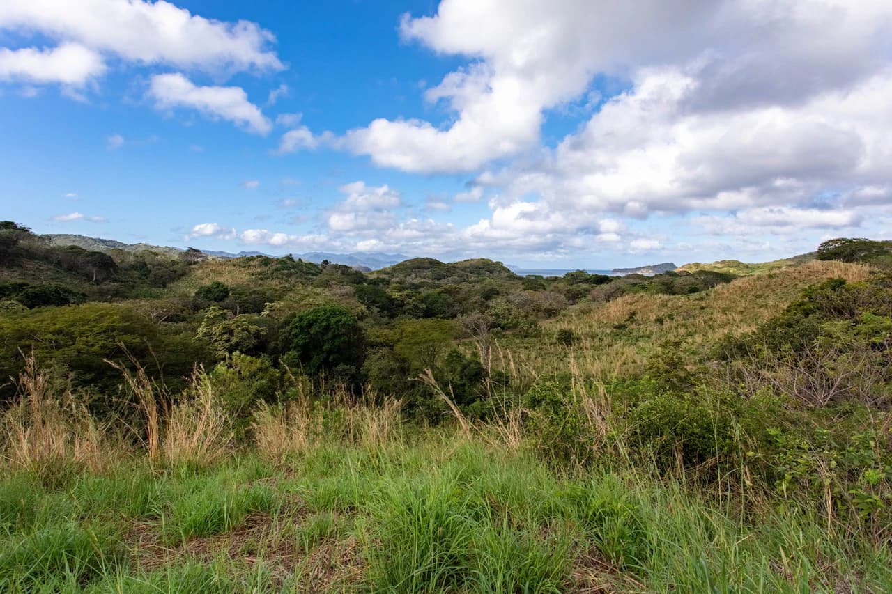 220 Acres Beachside Farm with Ocean View at Playa Junquillal in Guanacaste - photo 11