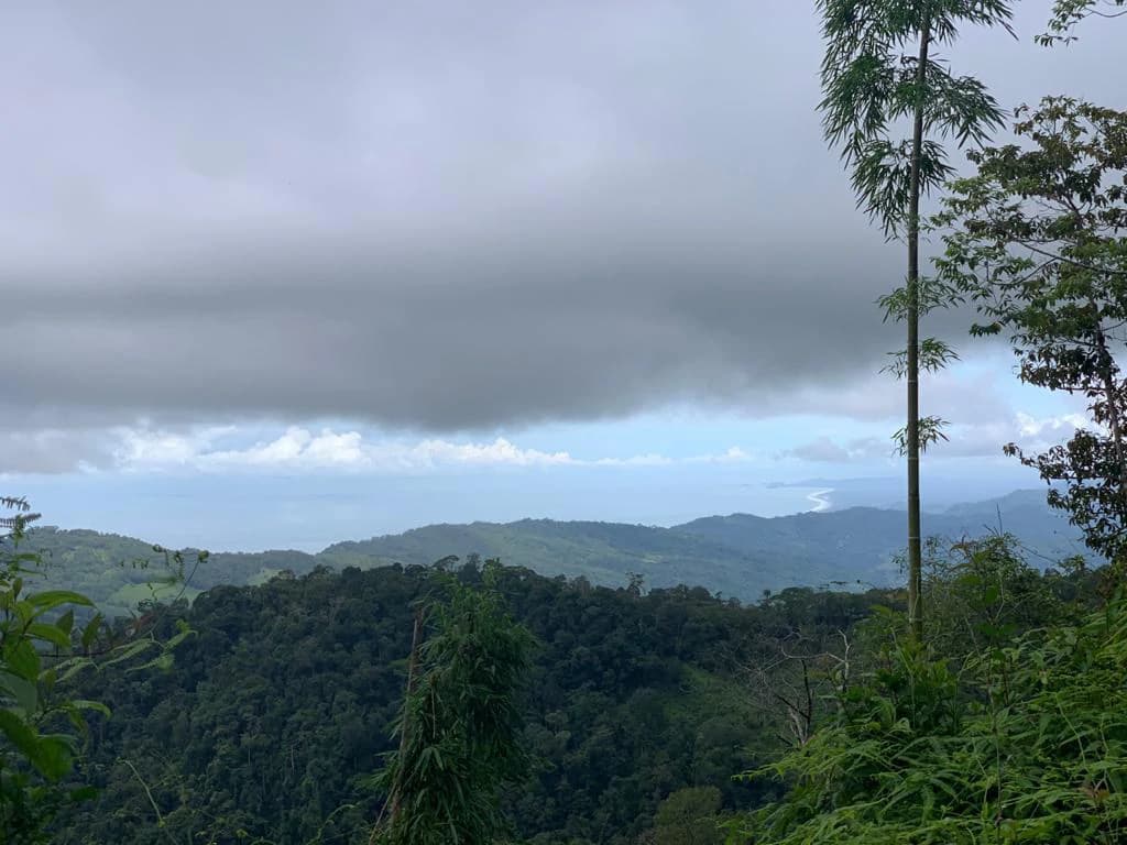 Ocean View Forest Reserve with Private Homesite Near Tinamastes - photo 20