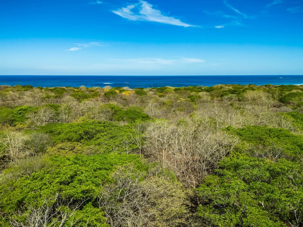 Bosque Escondido: Mixed-Use Lot Steps from Avellanas Beach - photo 14