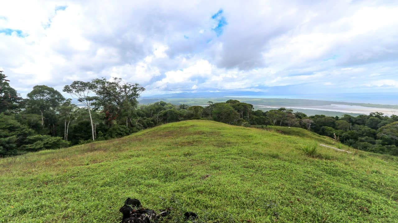 Unique Development Property Overlooking the Pristine Golfito Bay and Golfo Dulce - photo 22