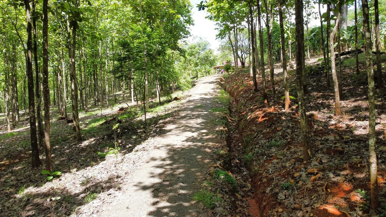 7-Hectare Farm with Teak Plantation, Existing Home & Eco-Development Potential Near Parrita, Costa Rica - photo 9