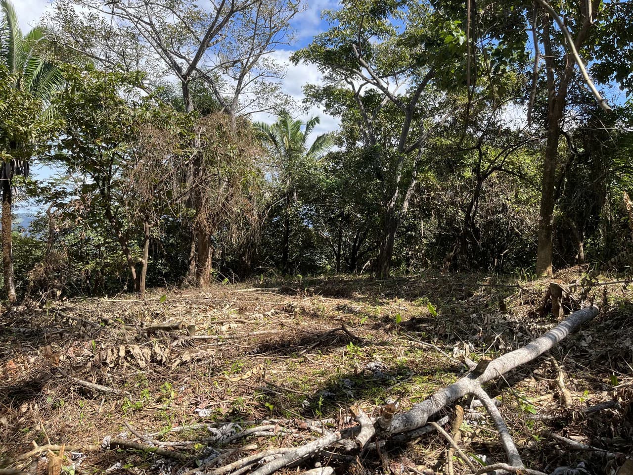 Lot 74 Montana: Beautiful Ocean View - photo 2