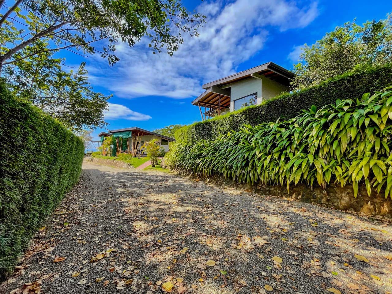 2.24 ACRES – 7 Bedrooms Ocean View Boutique Hotel With Two Pools, 5 Minutes to Uvita, Multiple Rental Options!! - photo 13