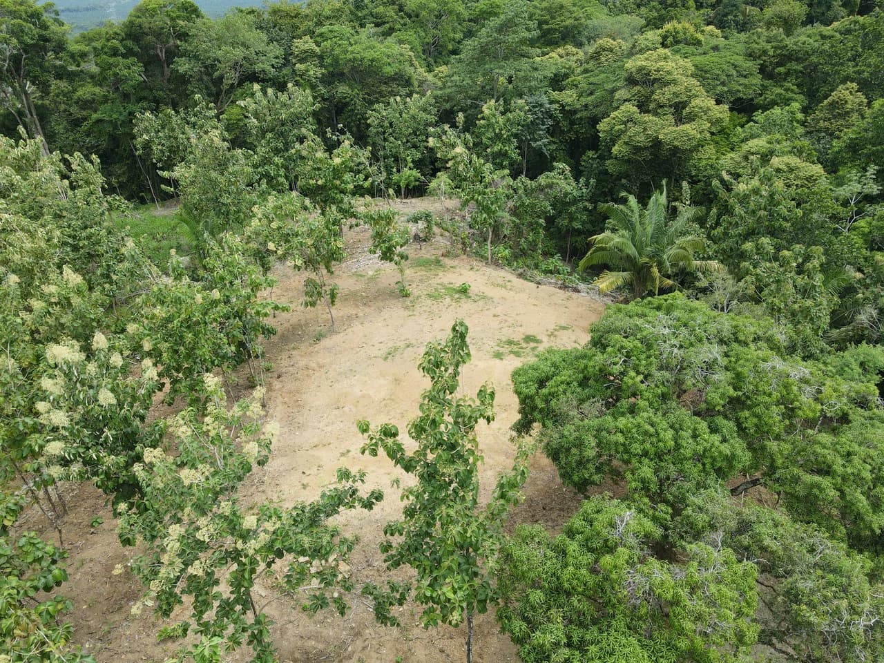 River Frontage Lot For Sale in Costa Rica Residential & Commercial Zoning - photo 5