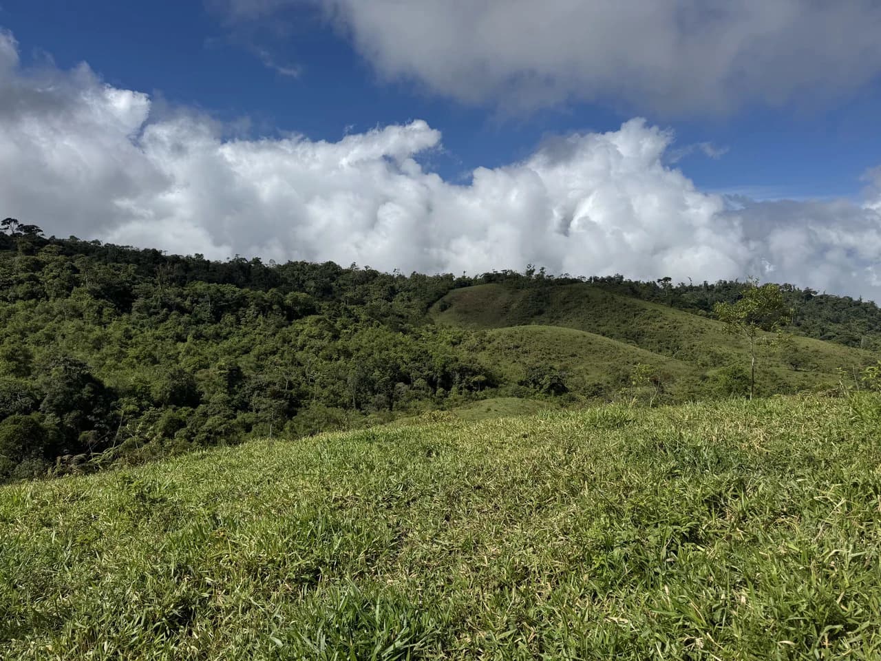 47 Acre Off Grid Ranch with Ocean & Mountain Views San Lorenzo Perez Zeledón - photo 27