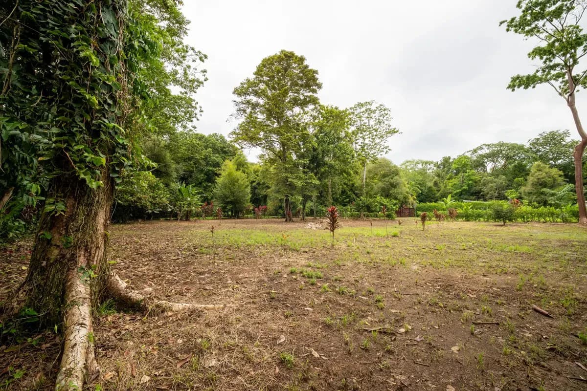 ID 1150: 3000 sqm Titled Land Near Cahuita National Park, Costa Rica - photo 1