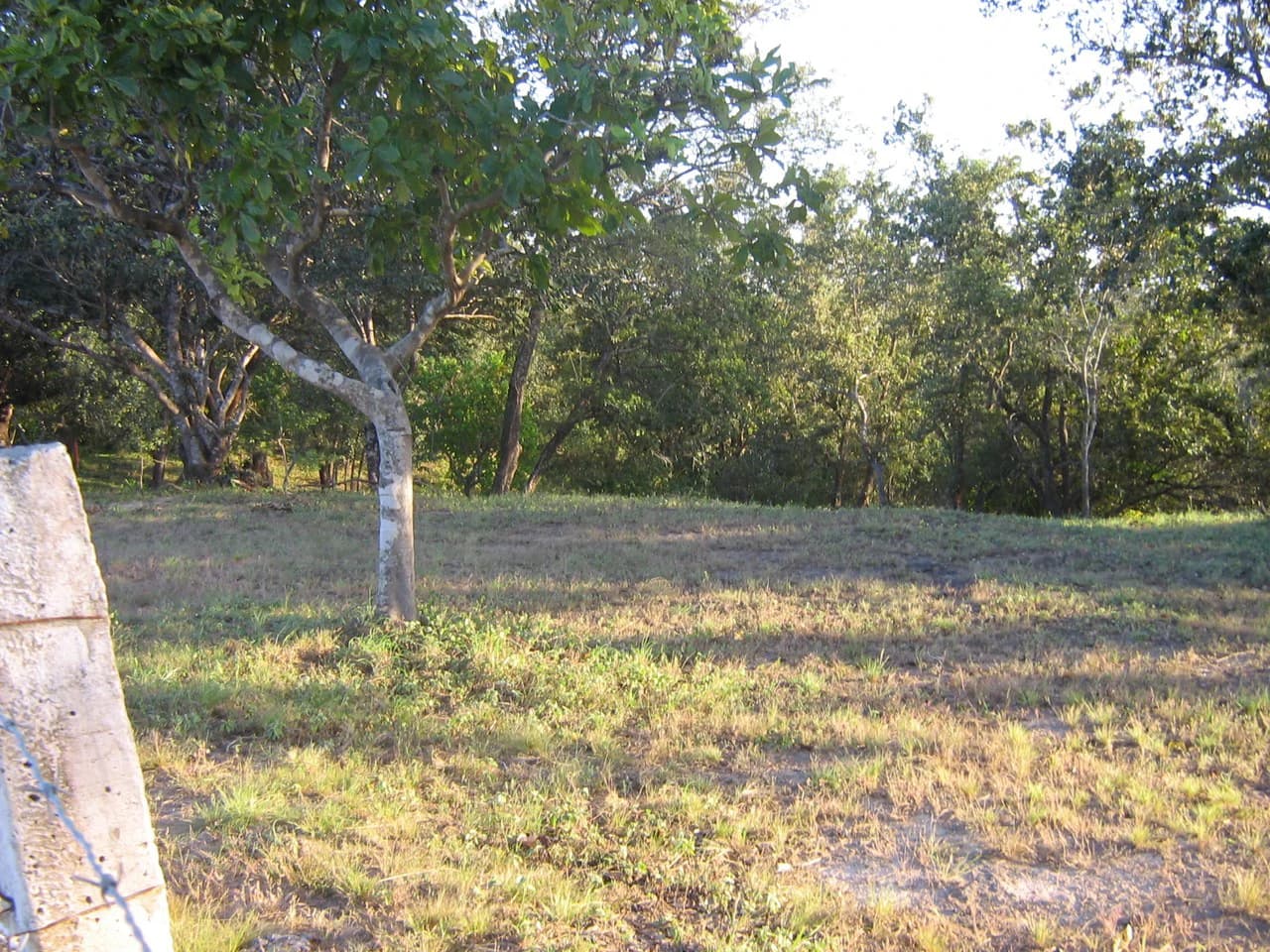 Excelente oportunidad: Excellent opportunity, lots Curubandé of Liberia, High Value - photo 2