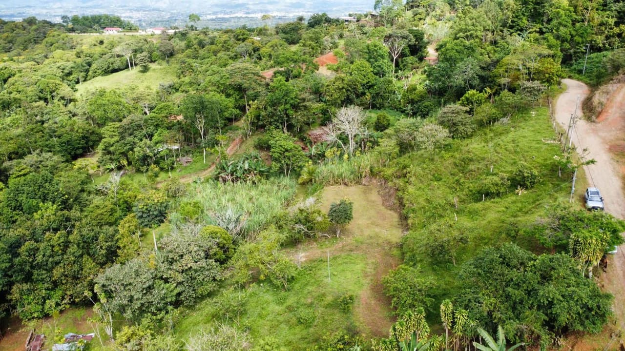 Propiedad en San Blas: Mountain Agricultural Land For Sale in La Linda General Viejo - photo 24