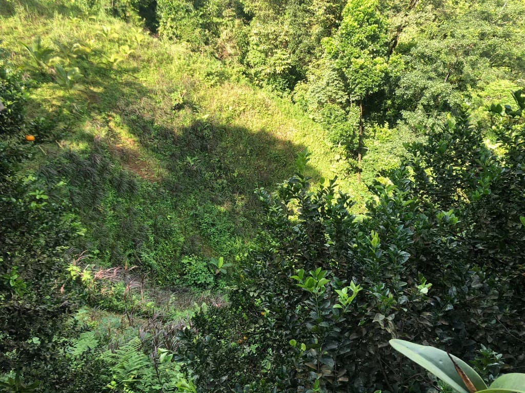 SECLUDED PARADISE WITH STUNNING VIEWS, WATERFALLS & ABUNDANT WILDLIFE - photo 20